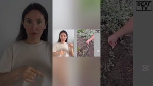 МИР ВИДЕО ДЛЯ ГЛУХИХ 27 ИЮНЯ 2ЧАСТЬ