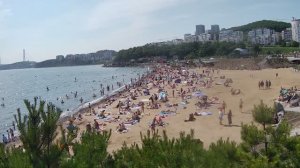 на пляже Патрокл Владивосток 27,06,2027