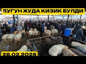 Куй бозор реально нархлари Ан ХОЖАОБОД 2026