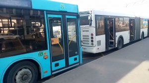 Автобус 232 маршрут МАЗ-203 38190 и ещё три Автобусы Платформа Аэропорт
