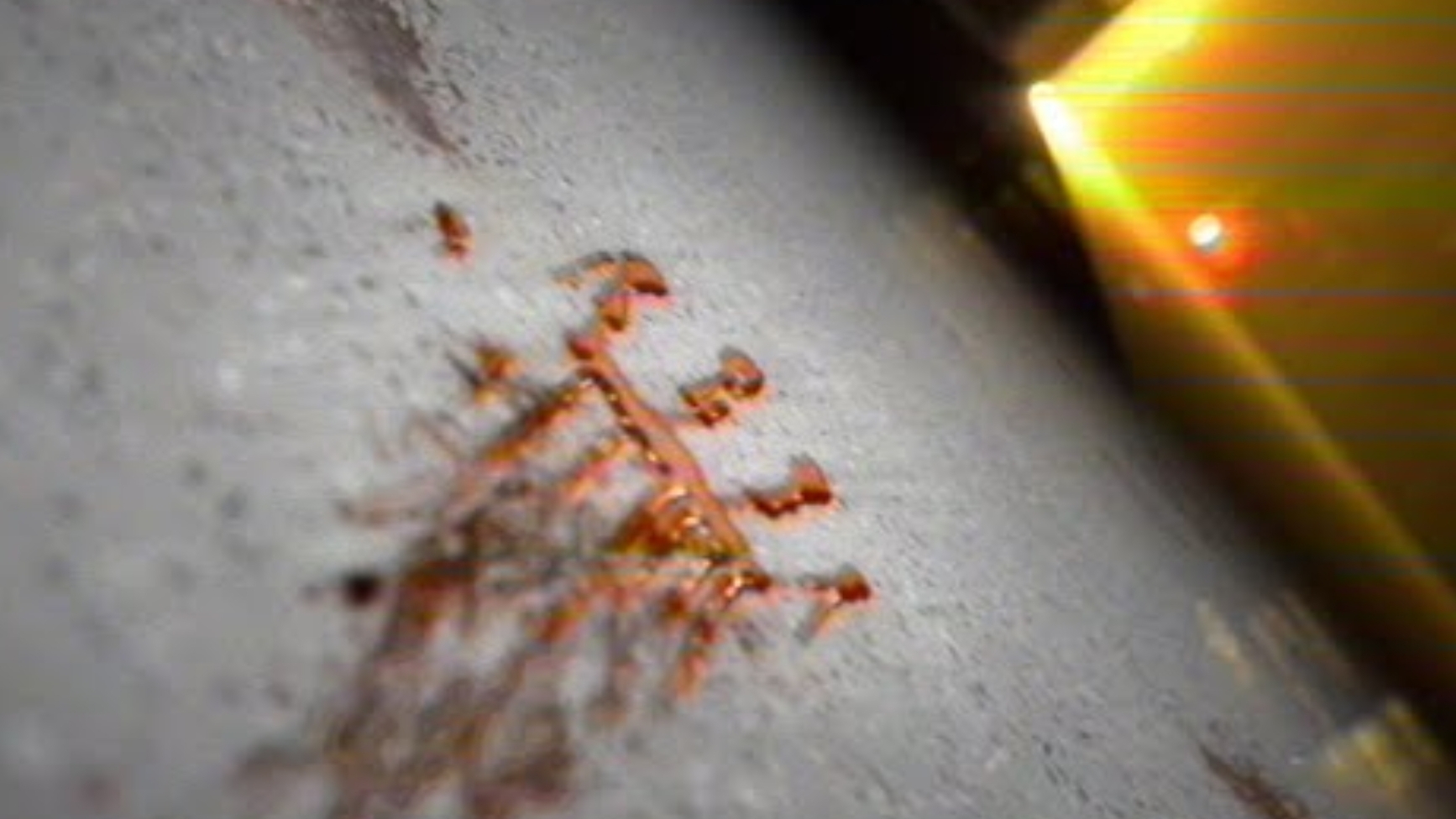 RESTRICTED_salvation