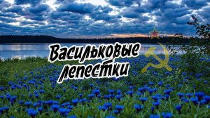 Сергей Тимошенко - Васильковые лепестки