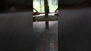 поехали на источник(Katayc)