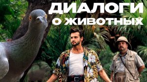 Илья Гомыранов о жизни во всём её биоразнообразии | Офисный Платон