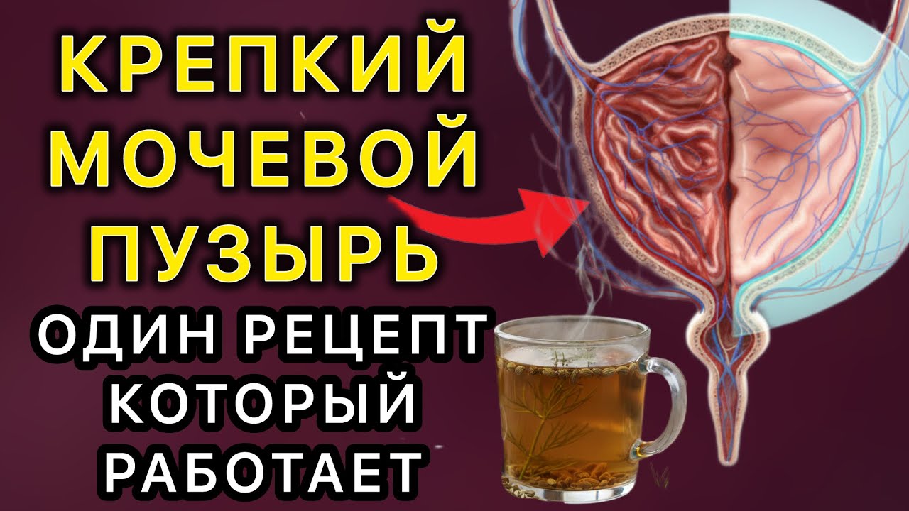 Бесплатные фотографии сильного мочеиспускания доступны вам в любое время дня и ночи Бесплатные фотографии сильного мочеиспускания доступны вам в любое время дня и ночи