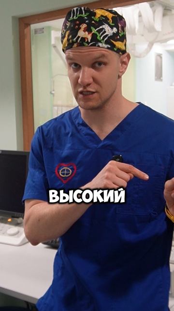 Твои сосуды сразу же покроются никотином, если ты будешь курить