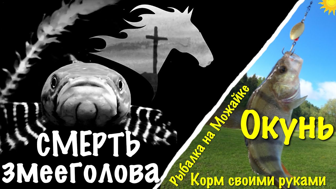 УМЕР ЗМЕЕГОЛОВ😢😱!!! Рыбалка на Можайском водохранилище! Окунь на спиннинг! Корм для рыб DIY смотреть онлайн
