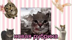 новая рубрика мои котики❤️
