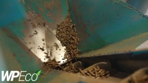 WP_Eco. Пеллетная линия.