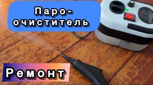 Steam Cleaner TC-SC-001 dont work opening diagnostics repair test review пароочиститель не работает