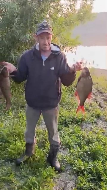 Трофей 🐟👍 на ужин, мелочь - в акваторию! 🌊 (ч.5) 🤪