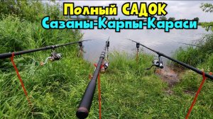 🔥ВОТ ГДЕ- САЗАНЫ, КАРПЫ И КАРАСИ!!! Рыбалка на «платнике» на опарыша с хитрой подкормкой !!!!