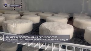 70 видов молочных продуктов выпускают на ферме в Шаховской