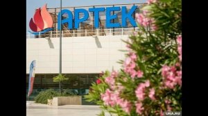 Минпросвещения проинформировало об окончании отправки детей из «Артека»