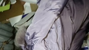 📢🚘Поедем поглядим и снова золото😳💰📢