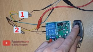 Двухканальное радиореле 220в с пультом (JJX-KG01)