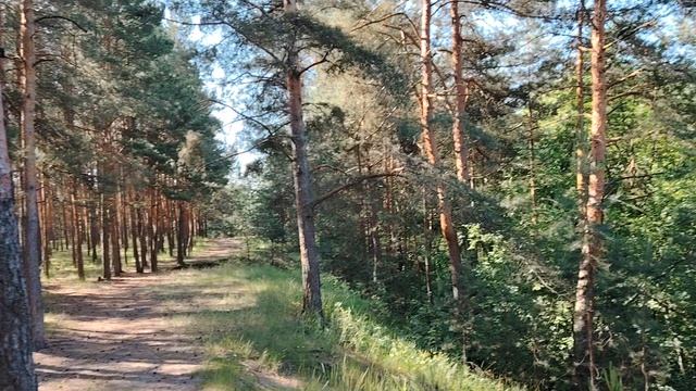 История увольнения "по собственному" желанию молодого учителя из школы
