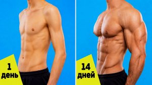 6 упражнений с собственным весом | Домашняя тренировка | Упражнения с гантелями