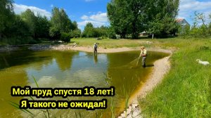 Мой пруд на участке. Рыбалка сетями. Рыбалка.