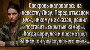 Свекровь винила Лизу. Муж тайно поставил камеры и ужаснулся: на записях жена...