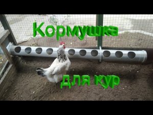 Кормушка для кур