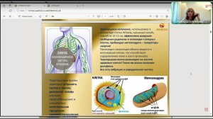 Активатор клеток  + сауна Багуа! Как работают и ваши отзывы!