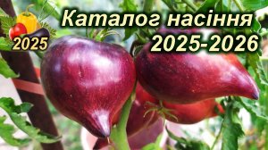 Нові колекційні сорти томатів (Новий каталог насіння 2025)