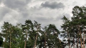 ДОНАТЫ ПРИНИМАЮ‼️ ПРИСЫЛАЙТЕ НЕ СТЕСНЯЙТЕСЬ‼️  28-06-2026