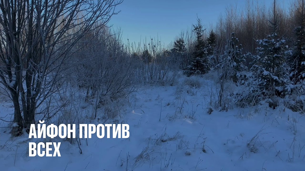 IPHONE XR против DJI OSMO ACTION и GOPRO 7 BLACK. Сравнение видео 4k/60. смотреть онлайн