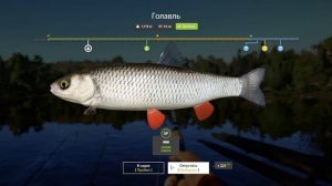 Russian Fishing 4 285 серия 120 серы совсем не плохо