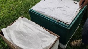 27 июня БЕДА РОЕНИЕ перед ГВ