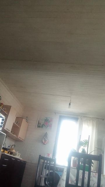 как меня видят радаки смотреть онлайн