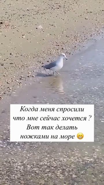 Что тебе сейчас хочется