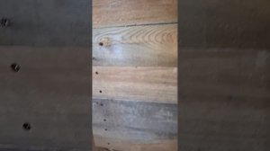 1000062916.mp4 (Собака смотрит на поступивший настенный газовый котёл в доме А-фрейм)