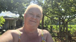 514. Привет из Крыма. Летний день. 27.06.26.