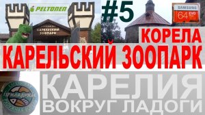 Карелия вокруг Ладоги #5. Карельский зоопарк. Приладожье. Сортавала. Корела. Розыгрыш карты 64ГБ!!!