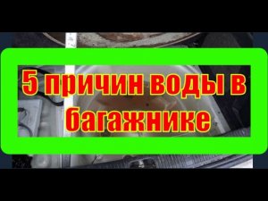 Вода в багажнике. 5 причин воды в багажнике.
