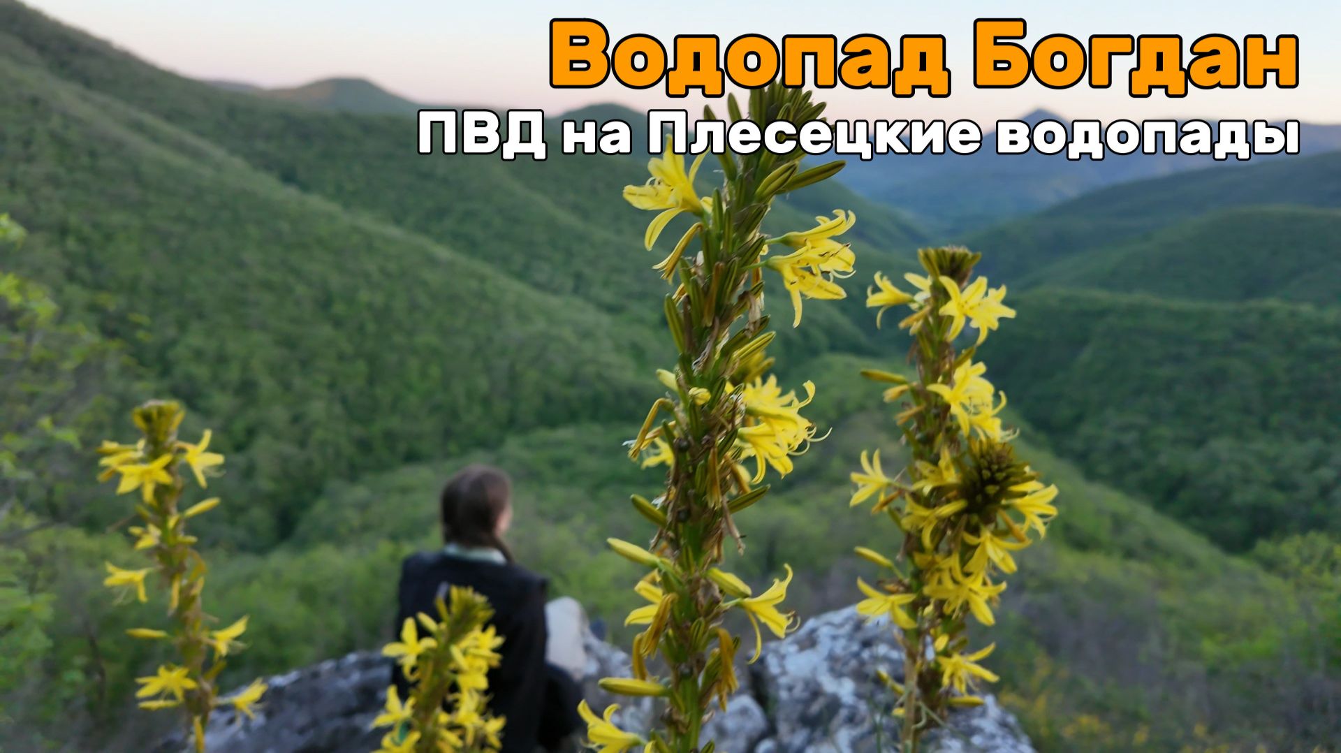 Утиные истории 2026