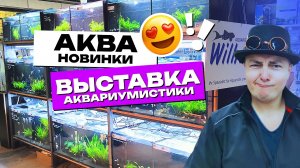 Очень интересная и крутая выставка аквариумистики, которая запомнится надолго! 4К