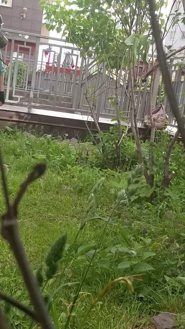 неудачные бандитские планы вторая часть