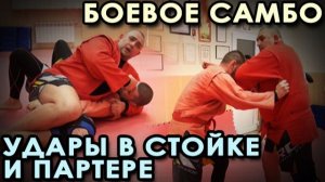 Боевое самбо: удары в стойке и партере.