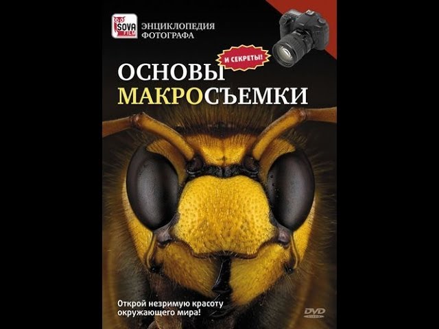 ОСНОВЫ МАКРОСЪЕМКИ. Пошаговое руководство начинающего фотографа. смотреть онлайн