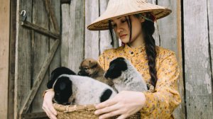 Я присматривала за щенками после того, как их мать пропала без вести.