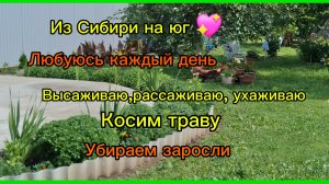 27-06-2026/Из Сибири на юг/Живём на юге/Высаживаю/Рассаживаю/Любуюсь каждый день/Убираем/Косим/
