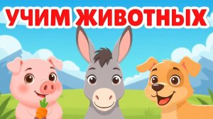 Домашние животные для малышей 2-5 лет