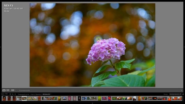 Обзор TTArtisan AF 56/1.8 ED (для APS-C, FujiFIlm X, Sony E, Nikon Z) с примерами фотографий. смотреть онлайн