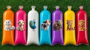 MENEMUKAN : Hewan Sapi, Panda, Gajah, Domba, Singa, Rusa, Harimau, T-Rex, Kura-Kura, Lumba-Lumba.