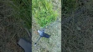Полезная штука для сада