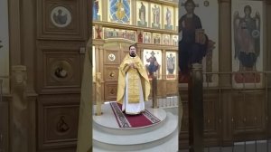 27.6.26 Грех и праведность. Рабство греху и рабство праведности. Проповедь о. Вячеслава.