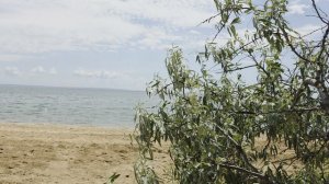 В Керчи шикарные дикие пляжи.Крым,июнь 2026